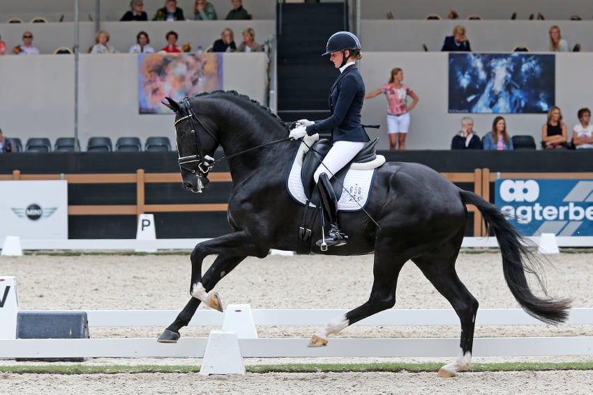 Halve finale PAVO Cup ook onder de 80 punten