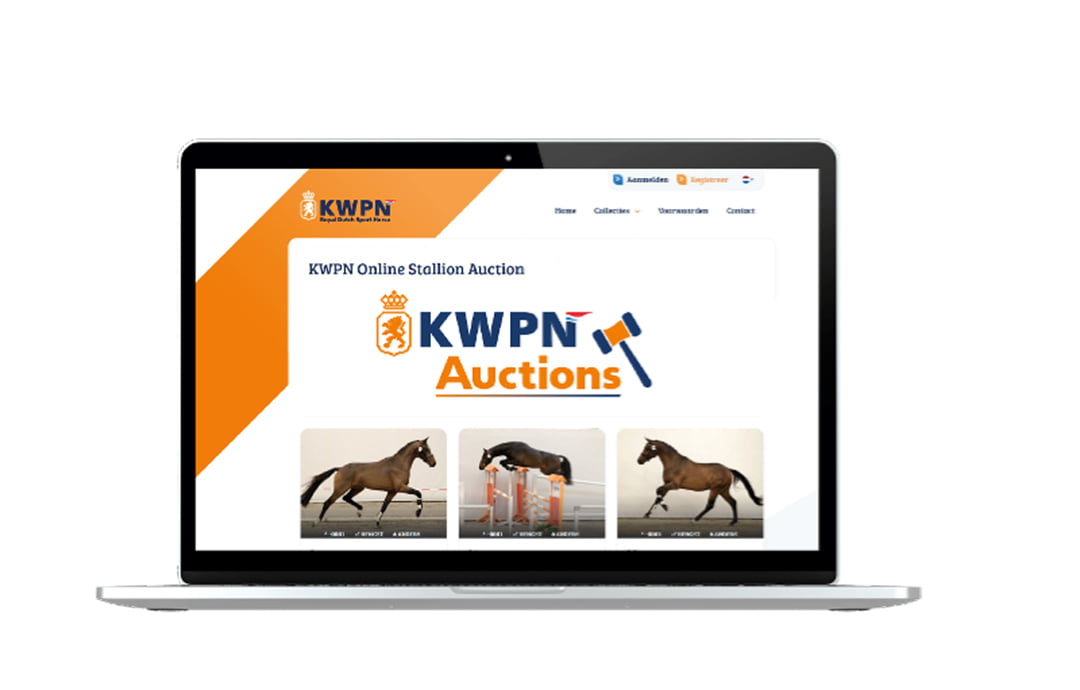 KWPN introduceert de Online Stallion Auction Nieuws.Horse