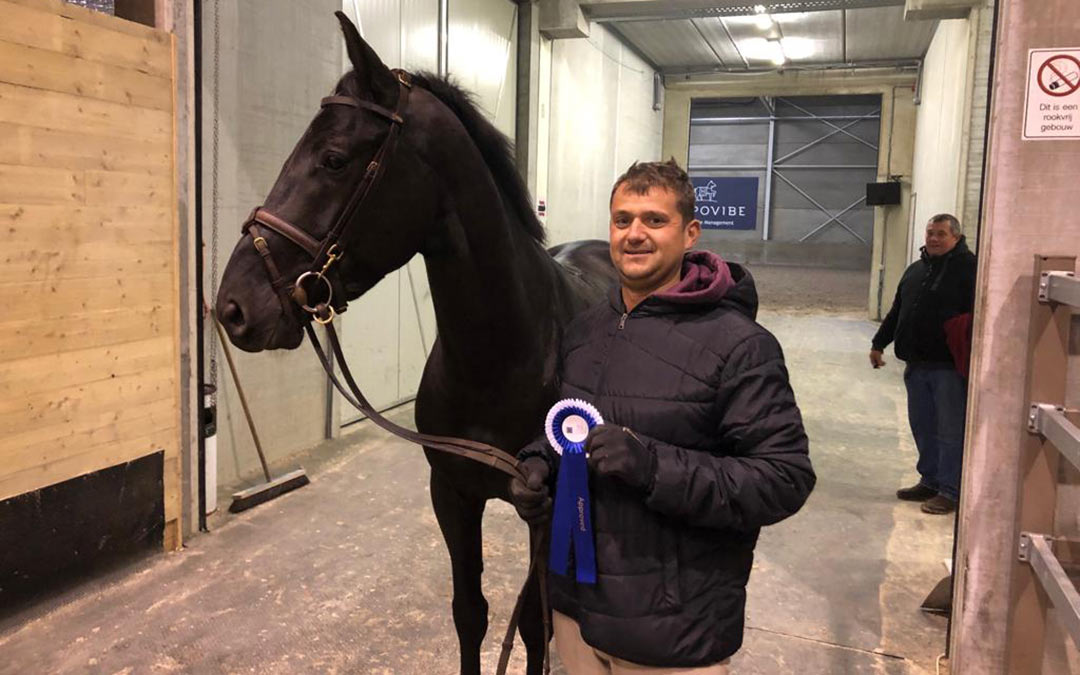 Ook in Opglabbeek AES-hengsten Approved