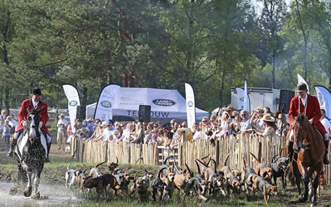 NK Jachtpaarden op zaterdag 20 april