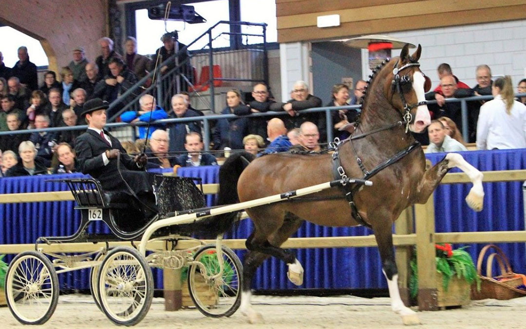 Hertog Jan wint in Valkenswaard
