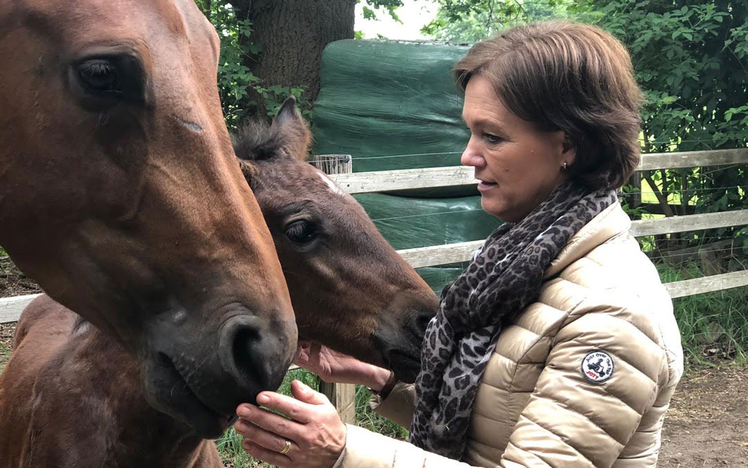Jumping Twente wint live uitzending Nieuws.horse
