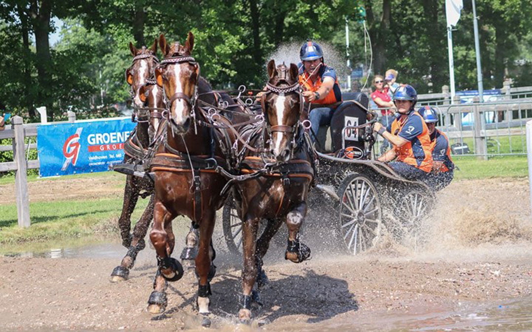 Nederlandse menners winnen landenwedstrijd Valkenswaard