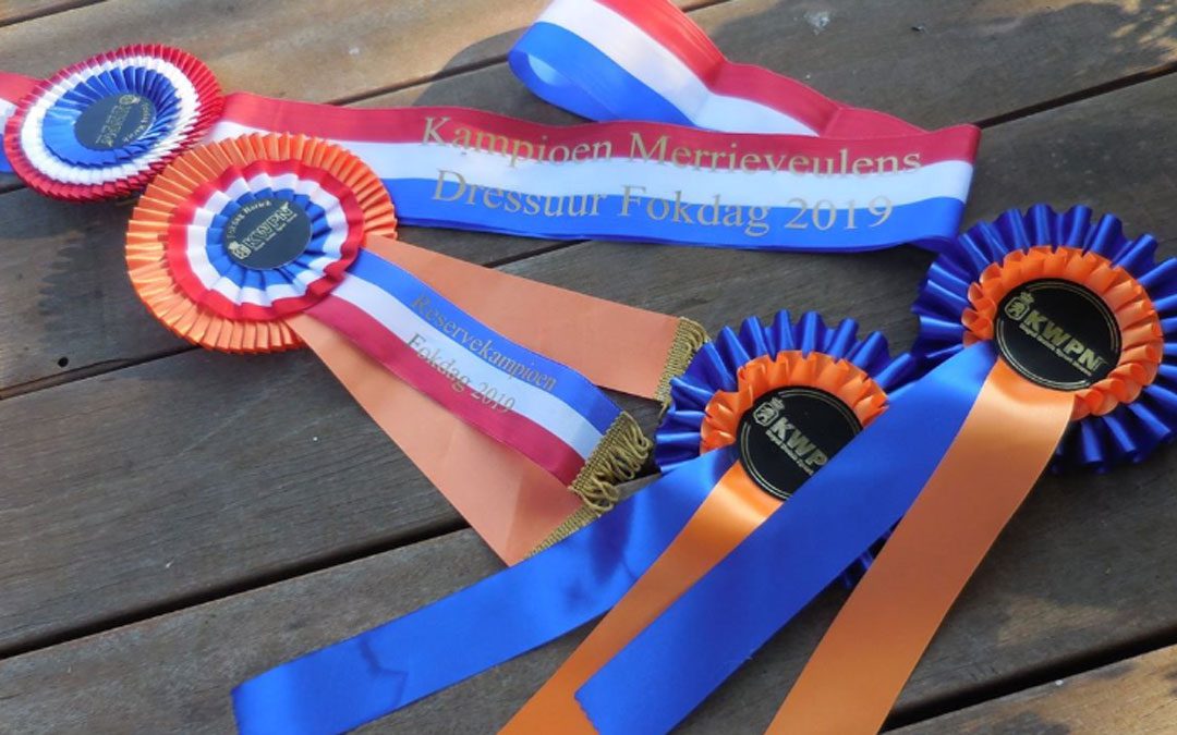 Veulens Krijn Reitsma 1e en 3e in Harich