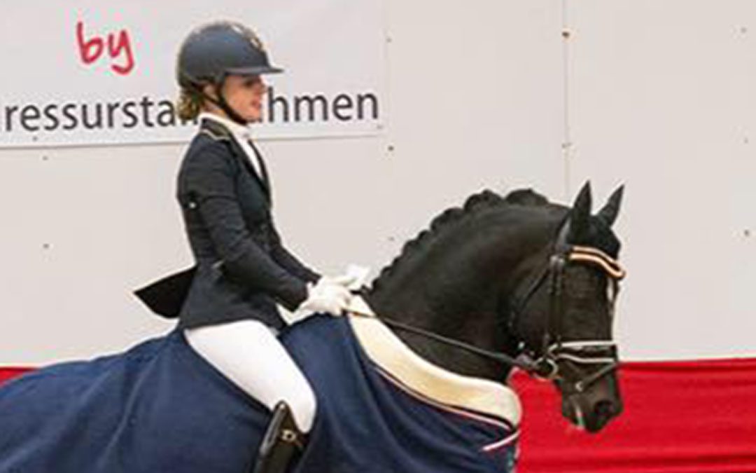 Nederlandse pony’s op goudkoers