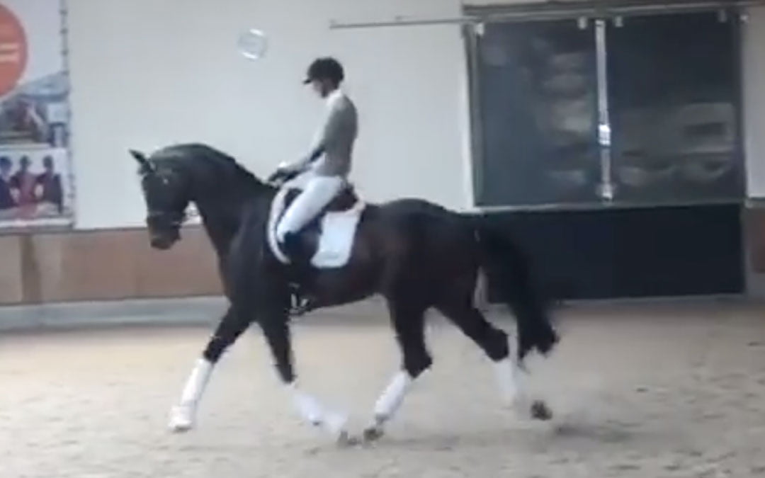 Helgstrand rijdt Jovian met superscore naar de wereldtitel