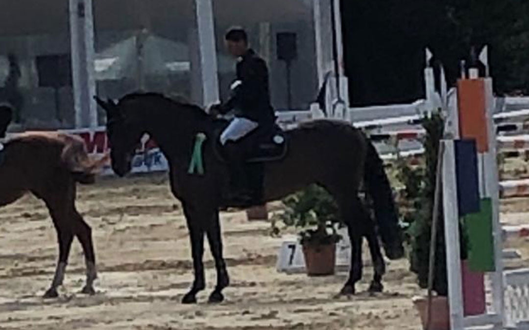 Joost Martens in prijzen in Spangenberg