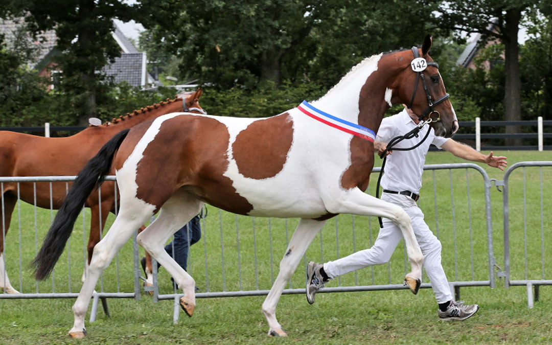 Sublieme bewegingen op Nationale NRPS-keuring