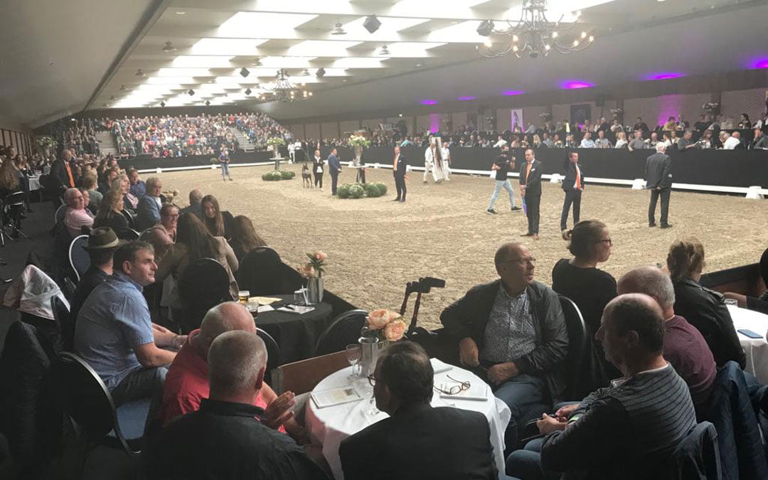 Orson JZ met 20.000 euro dressuurtopper Veulenveiling Midden-Nederland