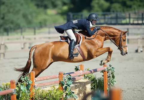 Eerste HJEH Hunter en Equitation wedstrijd van het seizoen