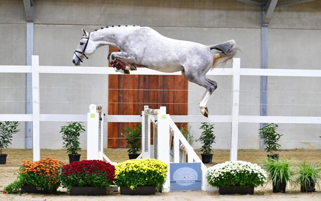 €50.000 voor AES’er Governor in Sentower Park