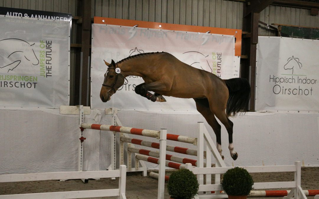 Rapide ter Elzen springt met 4 9’s naar overwinning