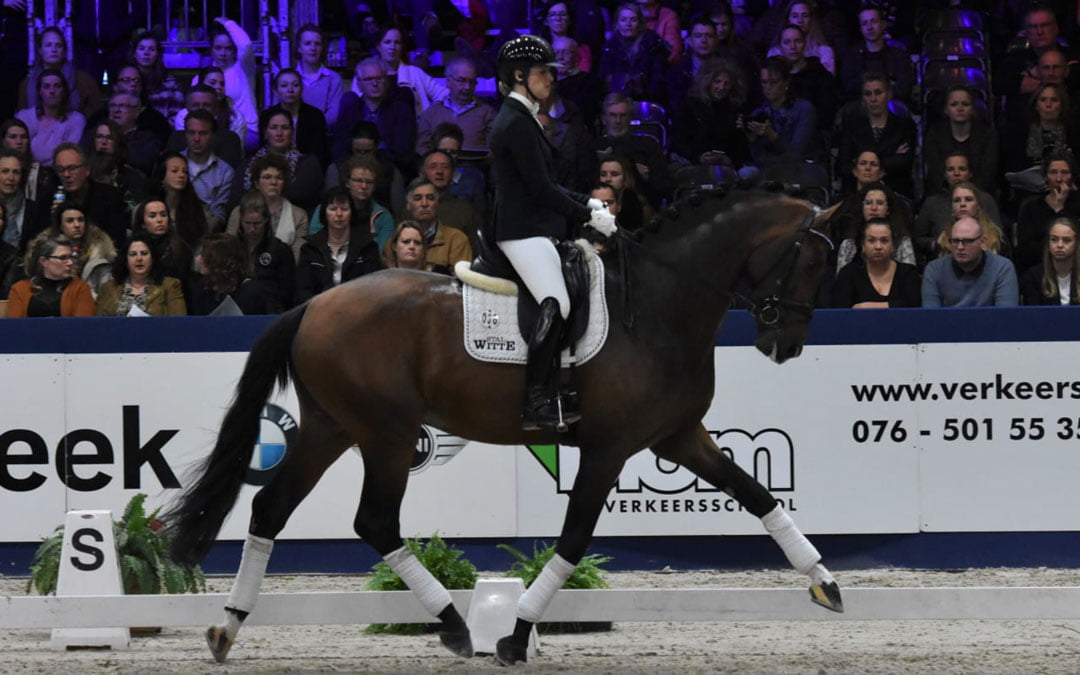 Tussenstand hengstencompetitie dressuur opgemaakt