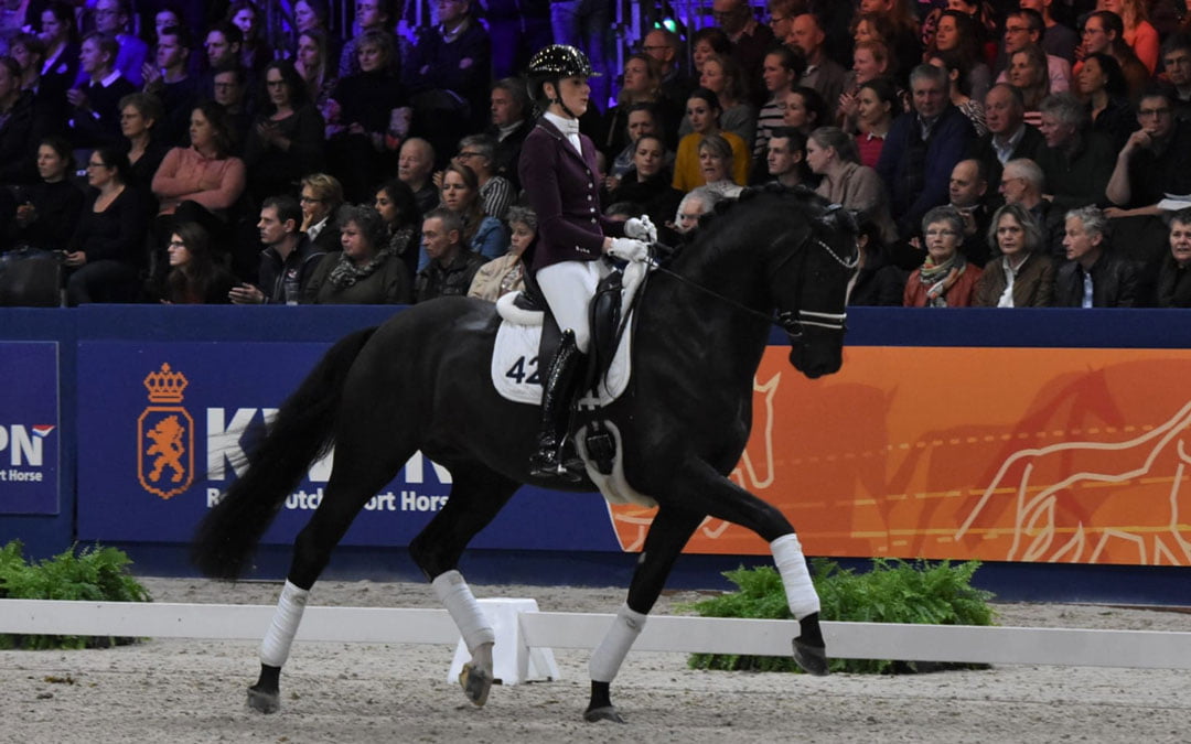 Presentatie dressuurhengsten in Den Bosch