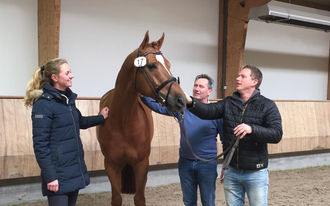 NRPS presenteert eventing hengsten