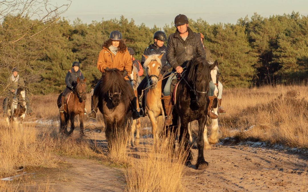 Buitenrit voor vrijgezelle paardenmensen