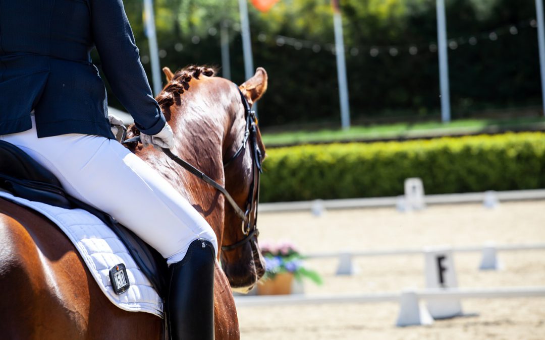 Paardensport: nog een week of drie….