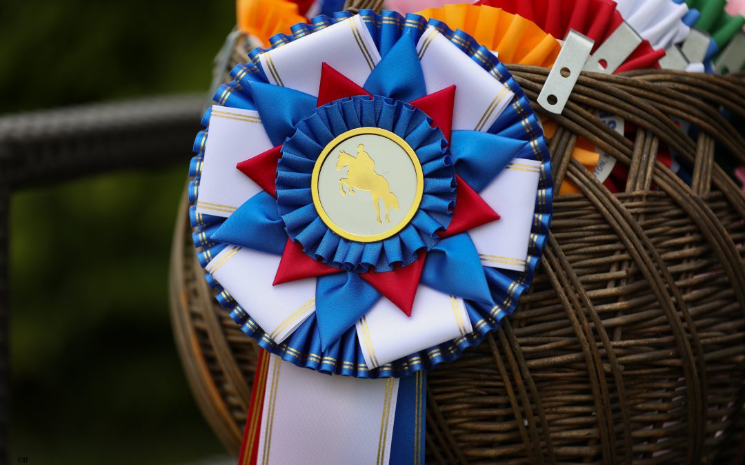 HJEH introduceert: ONLINE HORSE SHOW, digitale versie van de Hunter en Equitation wedstrijden