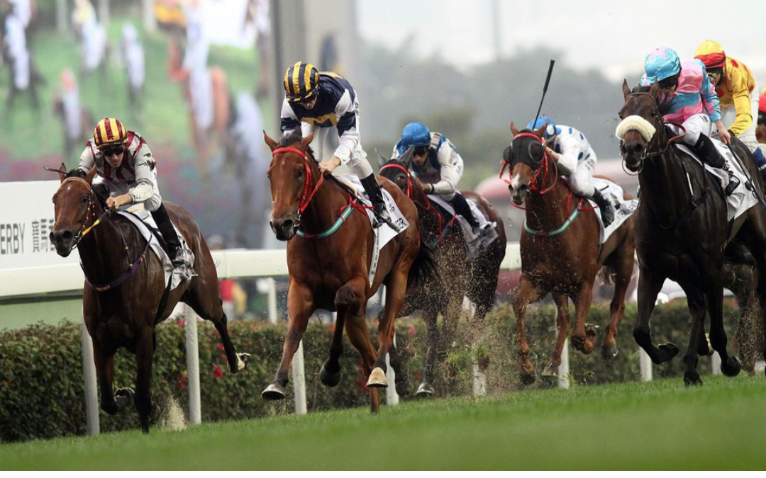 Kentucky Derby-winnaar gestorven, dopingonderzoek is gaande