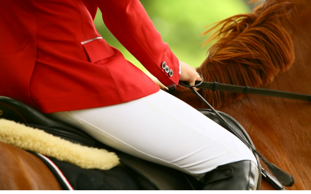 Equestrian Auctions richt online veilingplatform op voor getroffen paardensport