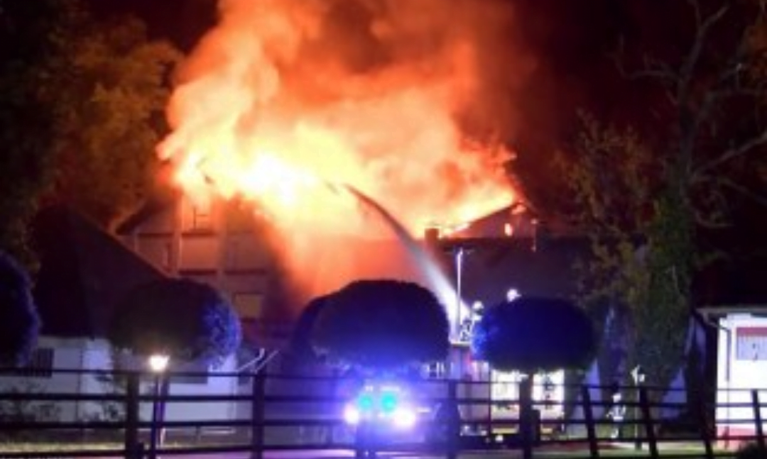 Twee paarden omgekomen bij brand