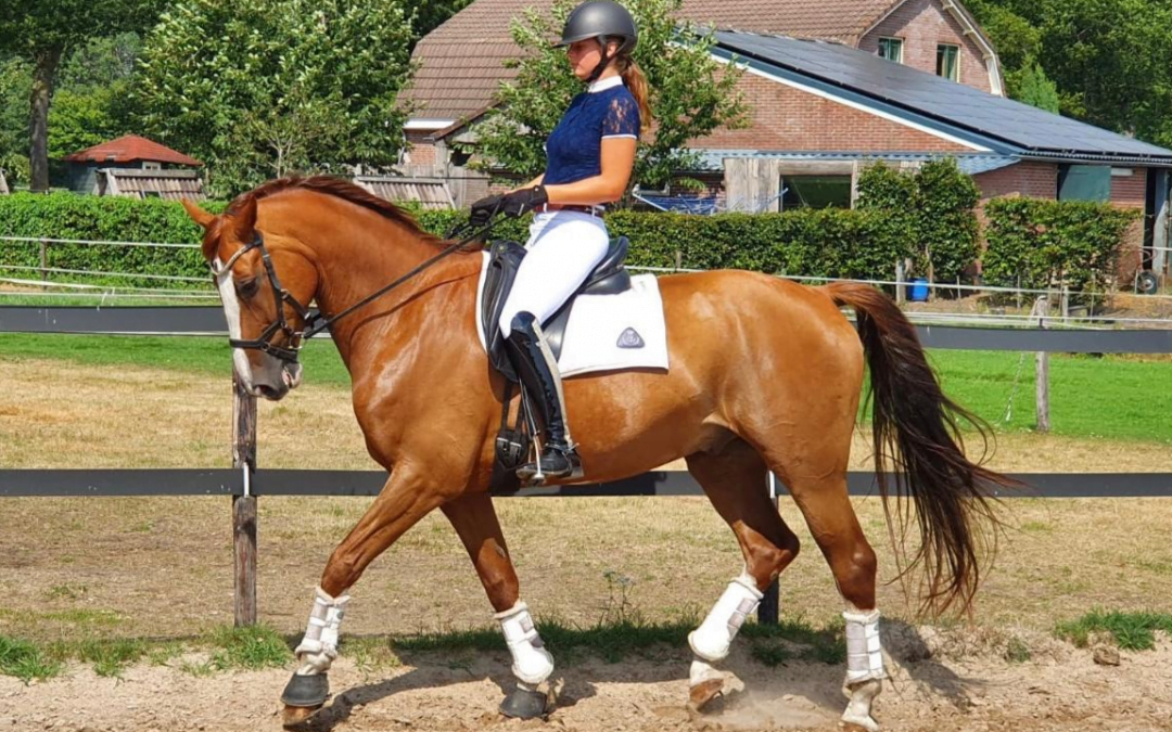 Online landenwedstrijd NE-BE: “Het commentaar is duidelijk en fijn”