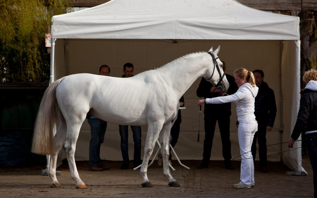 Goed nieuws, de aanmelding is open!