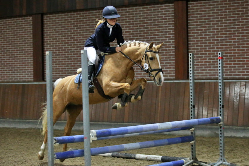 16 Geslaagde merries bij ABOP NRPS
