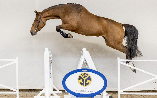 The Youngsters Auction: publiek gratis welkom bij live presentatie