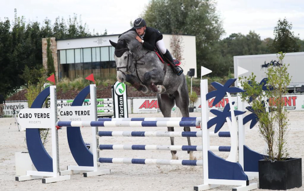 Commander Bond beste 6-jarige in hengstencompetitie