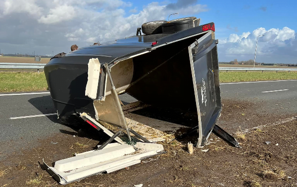 Fleur de Vries zoekt getuigen