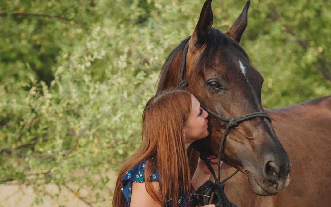 Horsify toont nu ook ruiteradvertenties