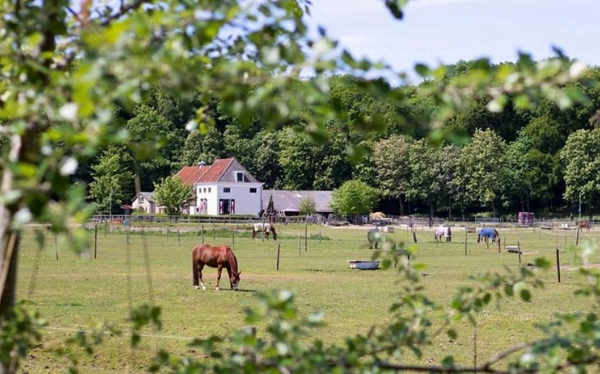 Voortzetting pensionstal onmogelijk door natuurbeheervoorwaarden