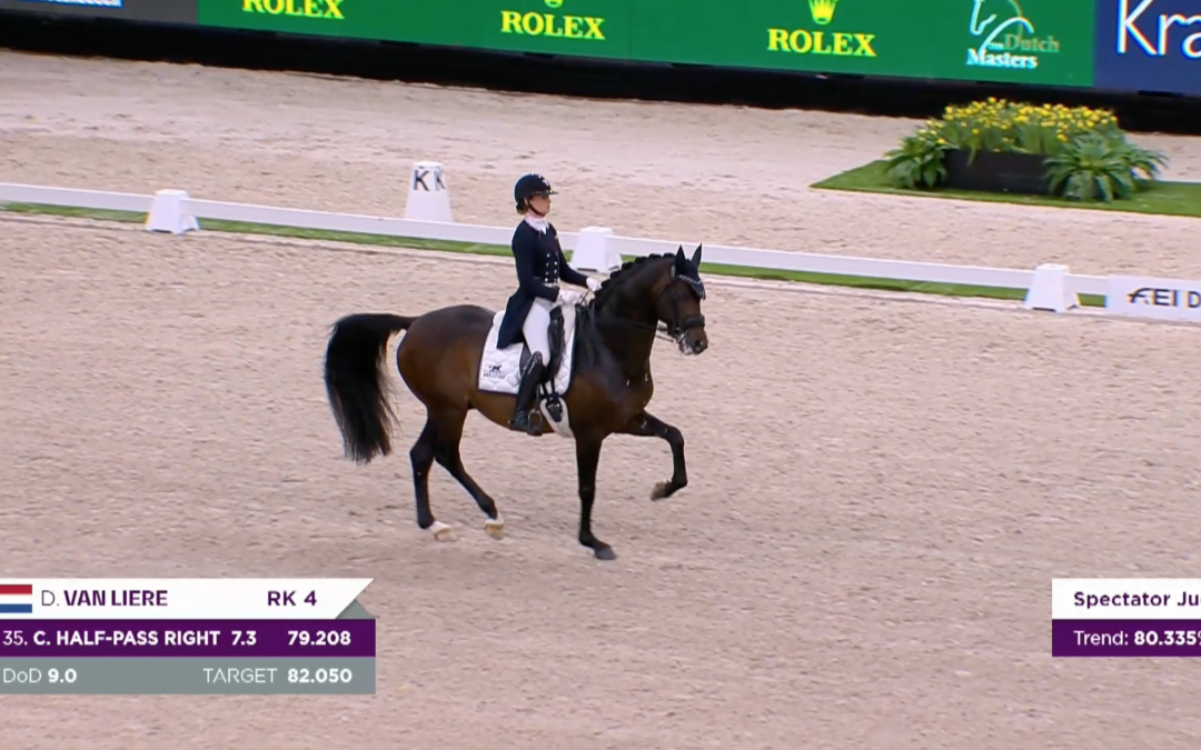 Dressuurteam Rotterdam bekend