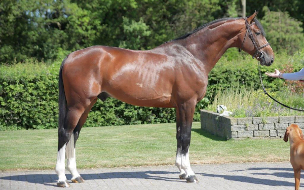 NRPS-goedkeuring voor Eternal Sunshine PM