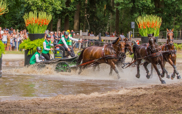 Alle dagen gratis entree bij NK in Beekbergen