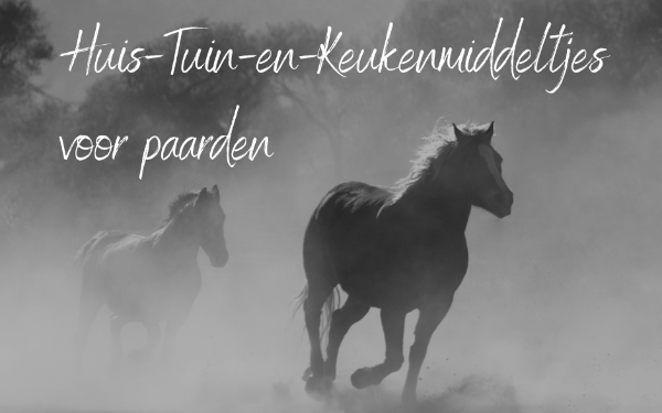Deel je tips voor Huis-Tuin-en-Keukenmiddeltjes voor paarden!