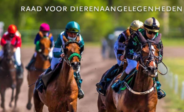 Webinar Plezier voor Mens en Dier