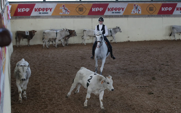 Lieke Spaans Europees kampioen runderwerk