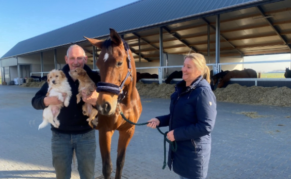 Netwerken voor alle ondernemende paardenvrienden