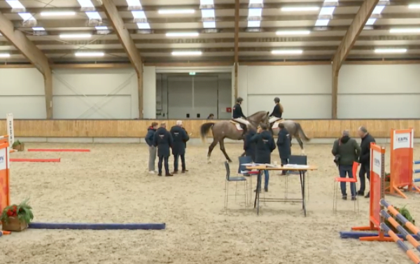 Cero Blue TN en Proud James beste hengsten in Ermelo