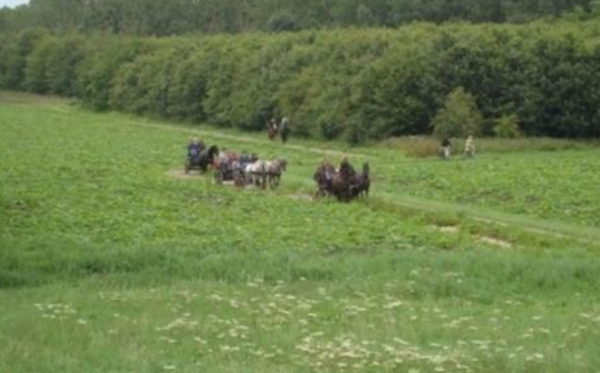 Ruiters en menners tegen de gemeente en Staatsbosbeheer