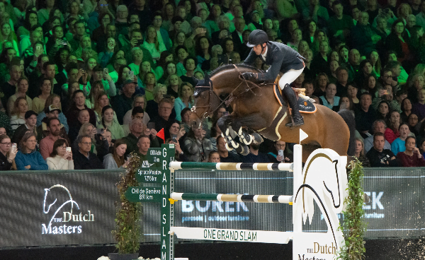 Harrie Smolders houdt een hengstenshow