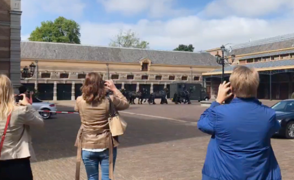 Als single naar de koninklijke stallen
