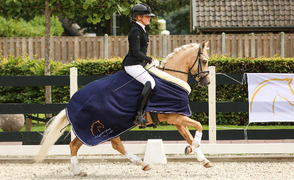 Hoogste DPC-dagscore voor Fudge VIP