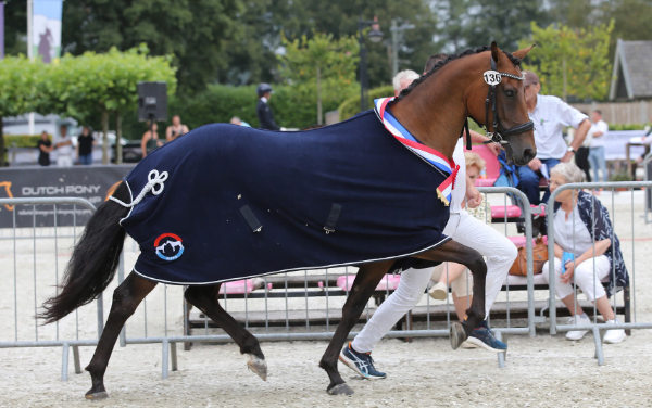 D’Azure kampioen in Lunteren