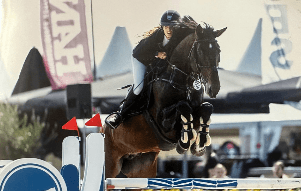 NRPS keurt nieuwe hengsten