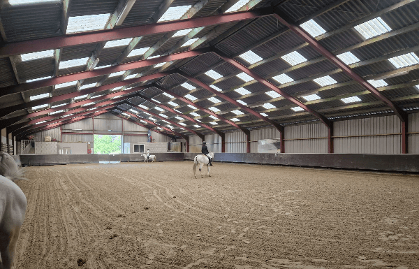 Padelbanen en pensionpaarden samen in Haarlem
