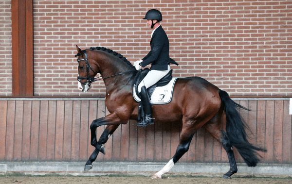 Geslaagde eerste beoordeling voor NRPS