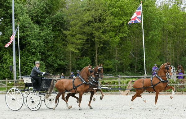 Niek Alting wint in Exloo
